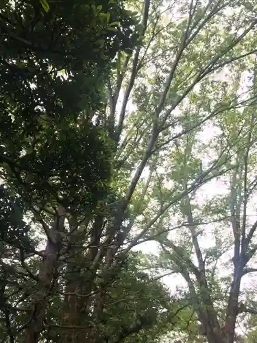 船橋不動尊　寳性寺の自然