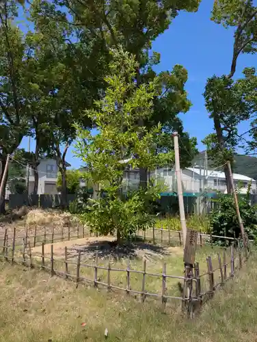 大浦神社(岡山県)