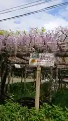 日吉神社の庭園