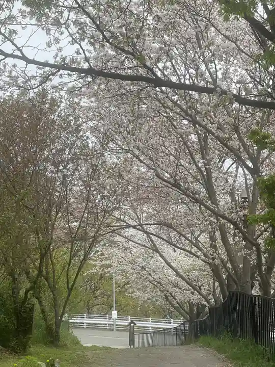 駒形嶽駒弓神社(長野県)