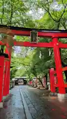 峯ヶ岡八幡神社の鳥居