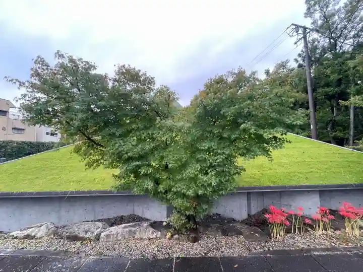 伊勢の国 四天王寺の自然