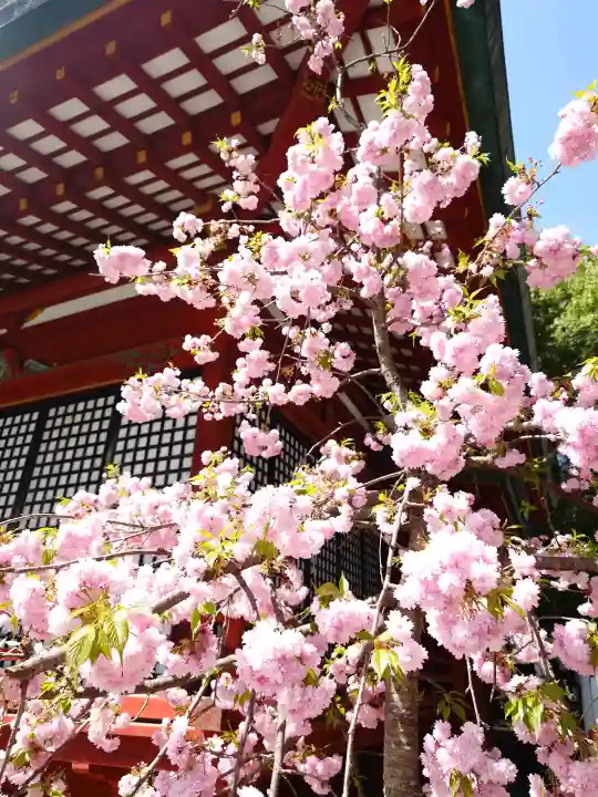 秩父神社の{uncategorized: "未分類", other: "その他", undefined: "問題あり", building: "その他建物", grave: "お墓", sacred_gate: "鳥居", guardian: "狛犬", statue: "像", buddha: "仏像", history: "歴史", nature: "自然", garden: "庭園", animal: "動物", pagoda: "塔", temizu: "手水舎", mountain_gate: "山門・神門", sanctuary: "本殿・本堂", subordinate: "末社・摂社", art: "芸術", scenery: "景色", jizo: "地蔵", ema: "絵馬", goshuin: "御朱印", omikuji: "おみくじ", items: "授与品その他", amulet: "お守り", goshuincho: "御朱印帳", eats: "食事", festival: "お祭り", votive_dance: "神楽", shichigosan: "七五三参", wedding: "結婚式", experience: "体験その他", initially: "初詣", around: "周辺", anti_infection: "感染症対策"}