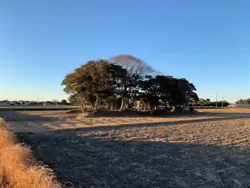 松尾神社(千葉県)