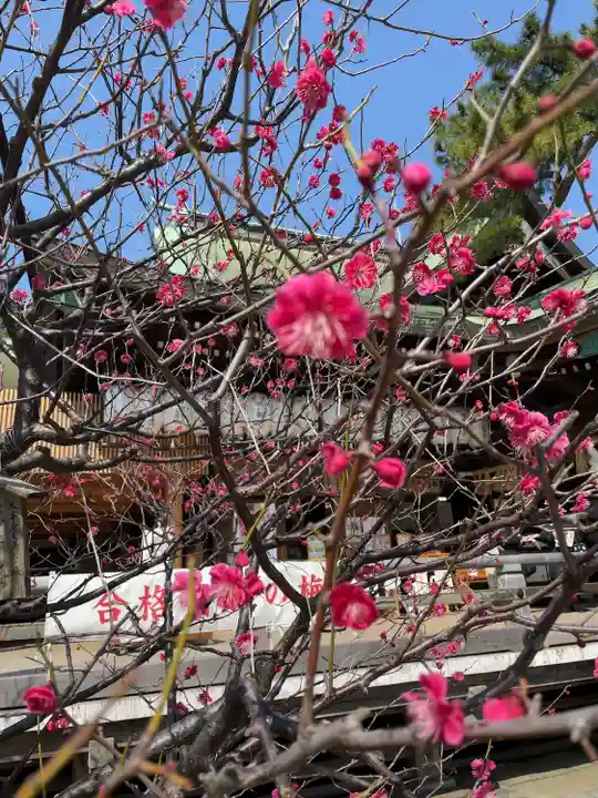 白山神社(新潟県)