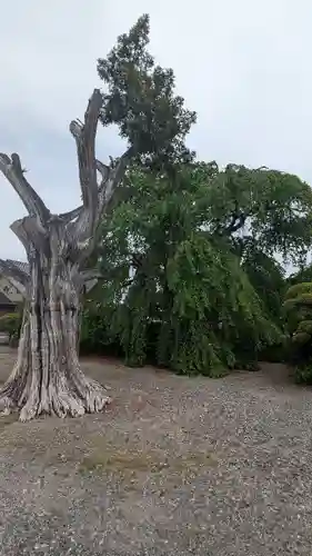 多宝院(茨城県)
