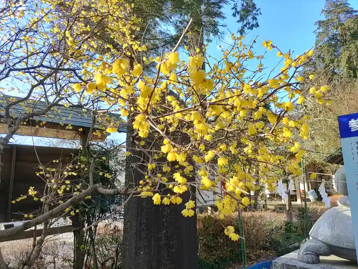 磐裂根裂神社(栃木県)