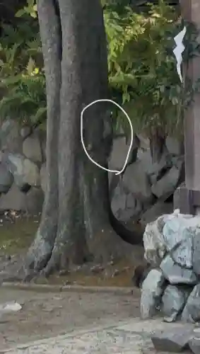 伊勢山皇大神宮の{uncategorized: "未分類", other: "その他", undefined: "問題あり", building: "その他建物", grave: "お墓", sacred_gate: "鳥居", guardian: "狛犬", statue: "像", buddha: "仏像", history: "歴史", nature: "自然", garden: "庭園", animal: "動物", pagoda: "塔", temizu: "手水舎", mountain_gate: "山門・神門", sanctuary: "本殿・本堂", subordinate: "末社・摂社", art: "芸術", scenery: "景色", jizo: "地蔵", ema: "絵馬", goshuin: "御朱印", omikuji: "おみくじ", items: "授与品その他", amulet: "お守り", goshuincho: "御朱印帳", eats: "食事", festival: "お祭り", votive_dance: "神楽", shichigosan: "七五三参", wedding: "結婚式", experience: "体験その他", initially: "初詣", around: "周辺", anti_infection: "感染症対策"}