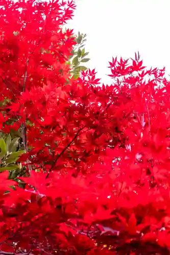 梨木神社(京都府)