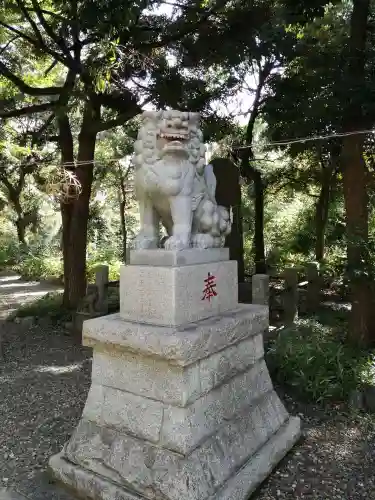 菊田神社の狛犬