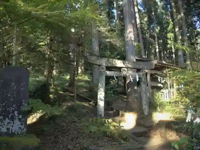 日光大室高龗神社の鳥居