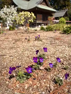 鹿嶋三嶋神社(茨城県)
