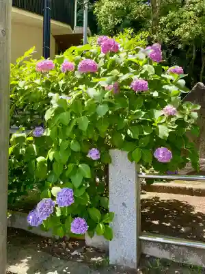 久本神社(神奈川県)