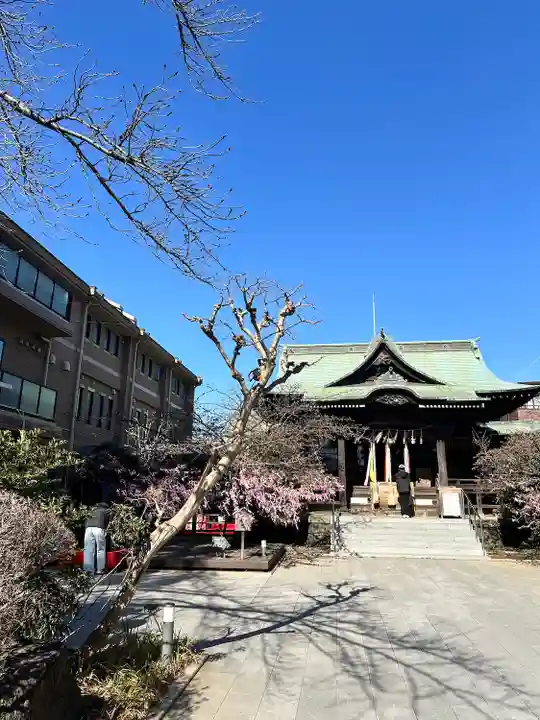 桜神宮(東京都)