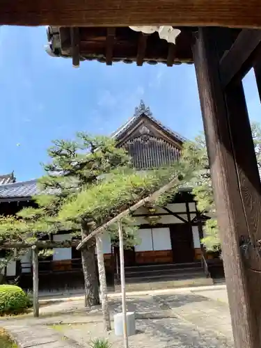 願行寺の本殿