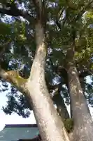 永岡八幡宮(福岡県)