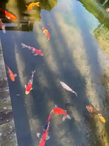 東郷神社の{uncategorized: "未分類", other: "その他", undefined: "問題あり", building: "その他建物", grave: "お墓", sacred_gate: "鳥居", guardian: "狛犬", statue: "像", buddha: "仏像", history: "歴史", nature: "自然", garden: "庭園", animal: "動物", pagoda: "塔", temizu: "手水舎", mountain_gate: "山門・神門", sanctuary: "本殿・本堂", subordinate: "末社・摂社", art: "芸術", scenery: "景色", jizo: "地蔵", ema: "絵馬", goshuin: "御朱印", omikuji: "おみくじ", items: "授与品その他", amulet: "お守り", goshuincho: "御朱印帳", eats: "食事", festival: "お祭り", votive_dance: "神楽", shichigosan: "七五三参", wedding: "結婚式", experience: "体験その他", initially: "初詣", around: "周辺", anti_infection: "感染症対策"}