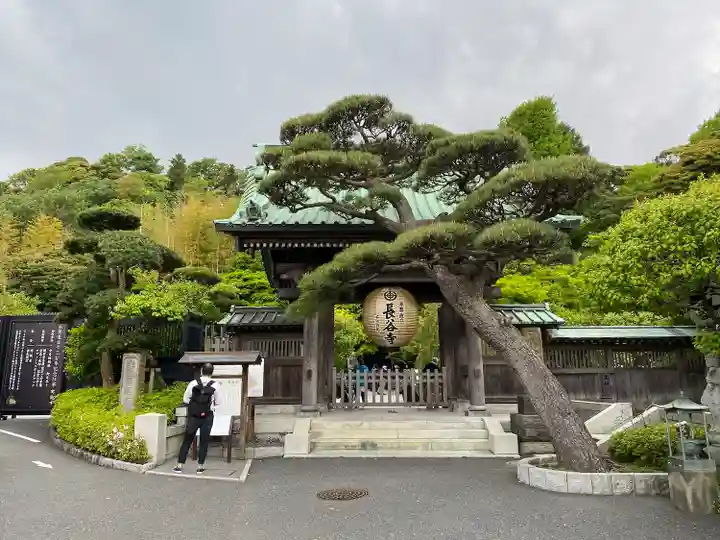 長谷寺の山門・神門