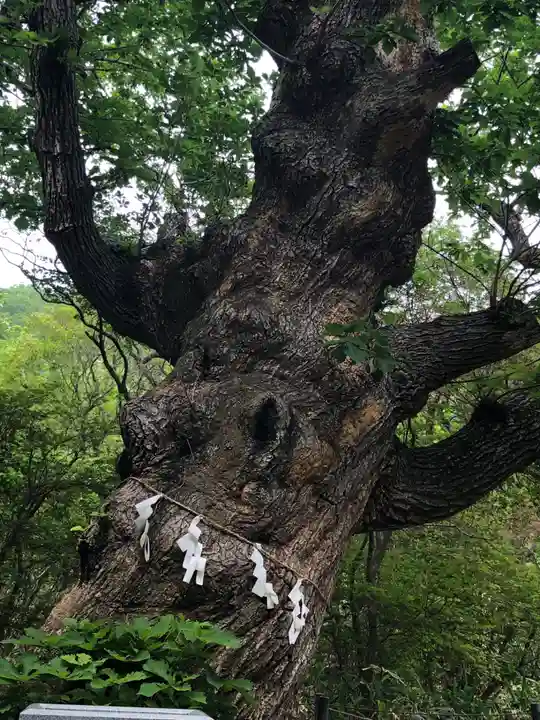 那須温泉神社(栃木県)