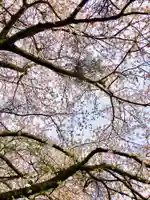 鹿嶋神社の自然