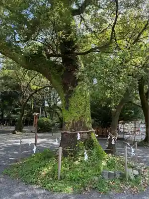 米之宮浅間神社(静岡県)
