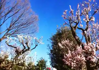 瑞円寺(東京都)