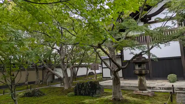 黄梅院(京都府)