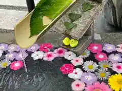 多聞寺の手水