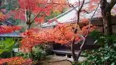 吟松寺の自然