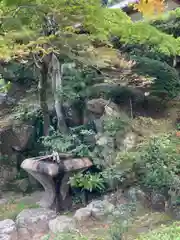 徳光院の手水