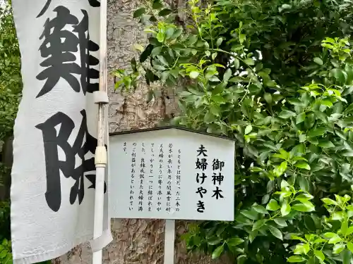 阿佐ヶ谷神明宮の{uncategorized: "未分類", other: "その他", undefined: "問題あり", building: "その他建物", grave: "お墓", sacred_gate: "鳥居", guardian: "狛犬", statue: "像", buddha: "仏像", history: "歴史", nature: "自然", garden: "庭園", animal: "動物", pagoda: "塔", temizu: "手水舎", mountain_gate: "山門・神門", sanctuary: "本殿・本堂", subordinate: "末社・摂社", art: "芸術", scenery: "景色", jizo: "地蔵", ema: "絵馬", goshuin: "御朱印", omikuji: "おみくじ", items: "授与品その他", amulet: "お守り", goshuincho: "御朱印帳", eats: "食事", festival: "お祭り", votive_dance: "神楽", shichigosan: "七五三参", wedding: "結婚式", experience: "体験その他", initially: "初詣", around: "周辺", anti_infection: "感染症対策"}