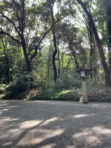 明治神宮(東京都)