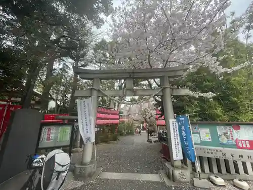 居木神社の自然