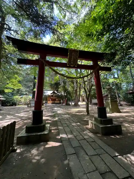 氷川女體神社(埼玉県)