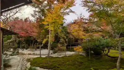 興聖寺(京都府)