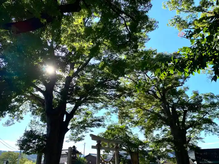 白鳥神社の自然