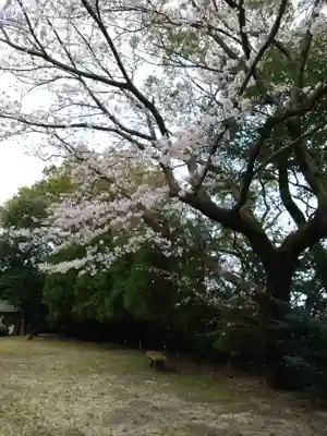 河内阿蘇神社(熊本県)