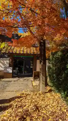 西雲院(京都府)