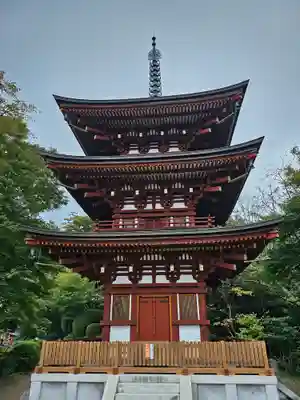 岡寺(龍蓋寺)(奈良県)