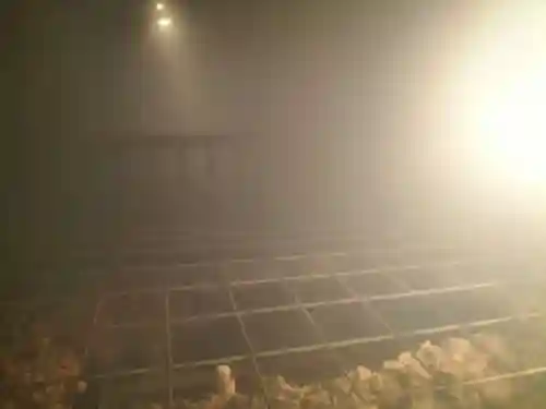 伊豆山神社(静岡県)