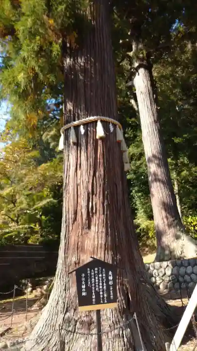 日枝神社(静岡県)