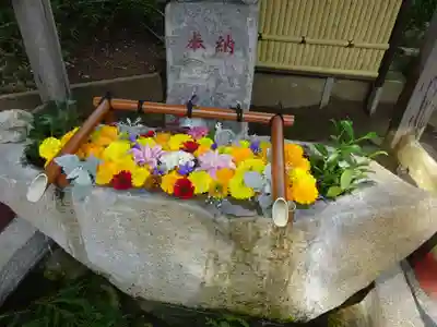 田間神社の手水舎