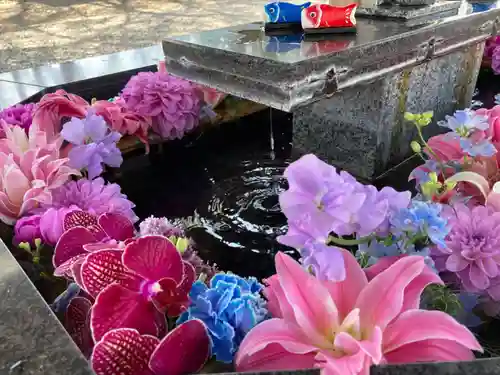 新琴似神社の手水