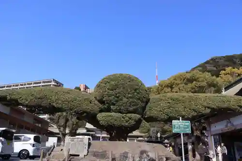 照國神社(鹿児島県)