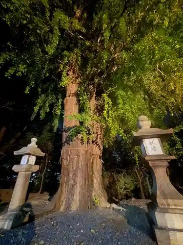 三栖神社(京都府)