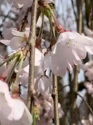 足羽神社(福井県)