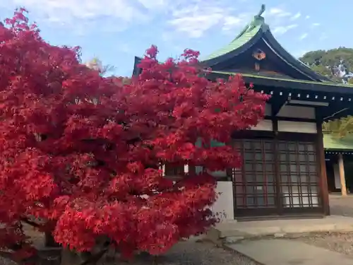 豊國神社の自然