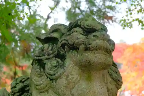 鍬山神社の狛犬
