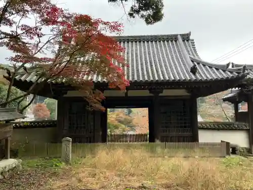 金剛寺(大阪府)
