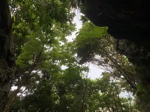 神社（名称不明）の自然